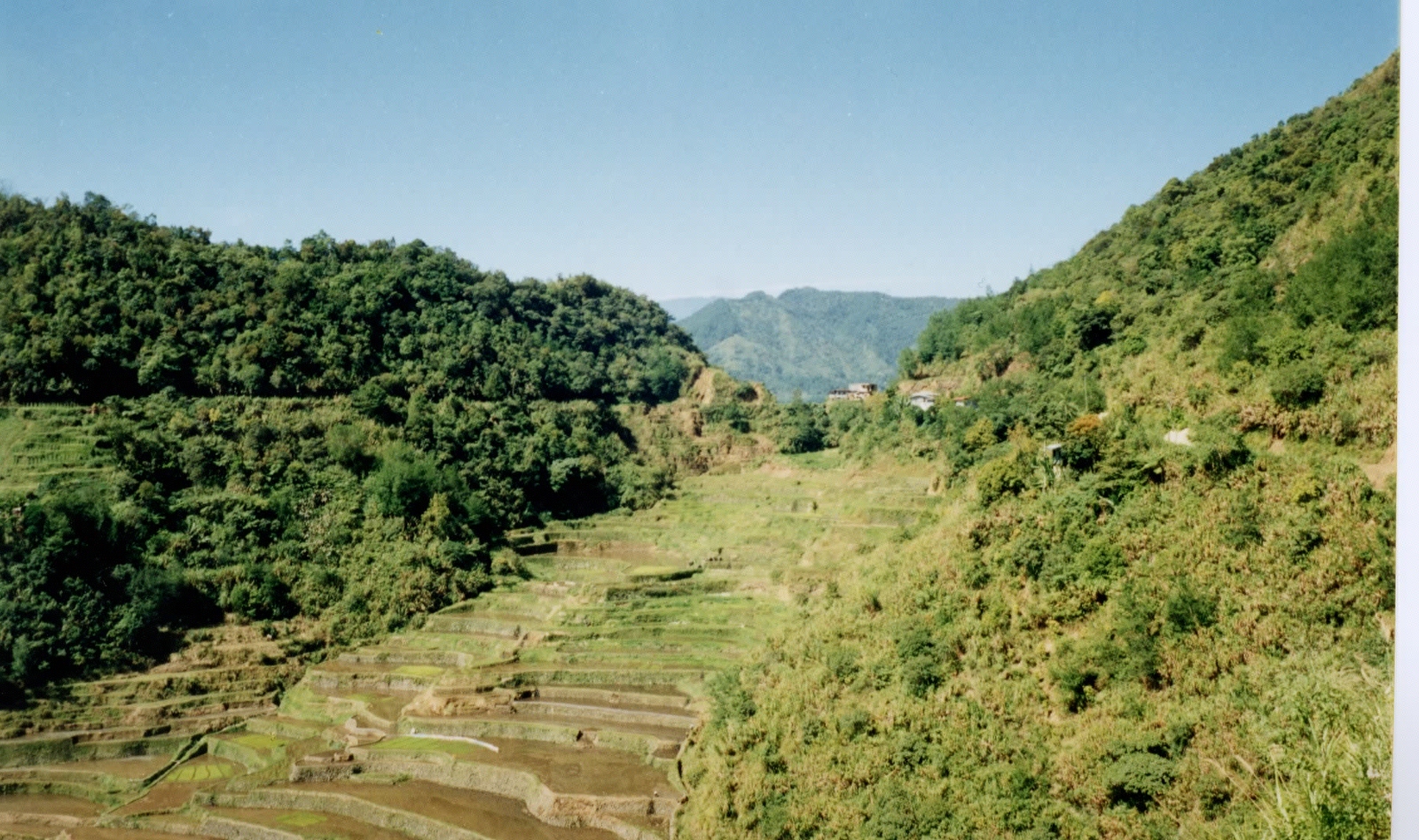 照片 菲律宾(Philippines) 巴纳韦(Banaue) 1997-03 5