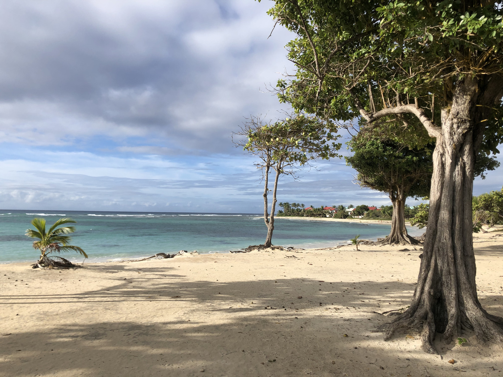 照片 瓜德罗普(Guadeloupe) 圣弗朗索瓦(Saint Francois) 2021-02 9
