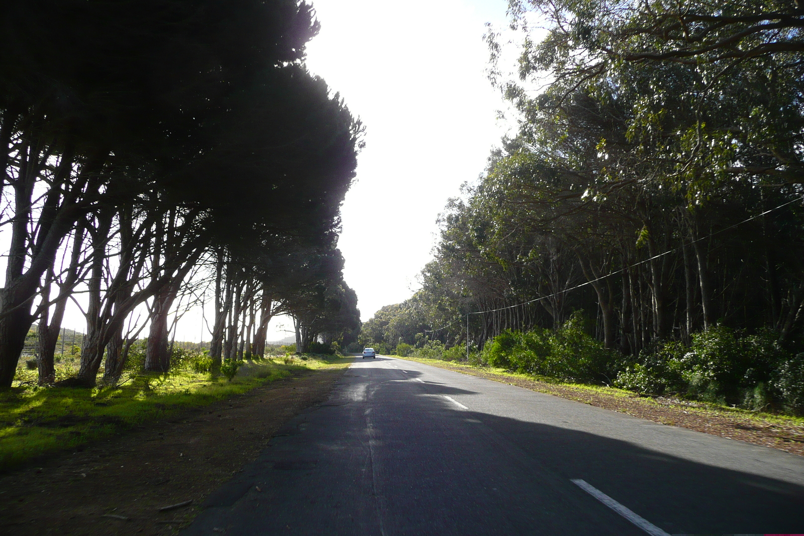 照片 南非(South Africa) 好望角(Cape of Good Hope) 2008-09 109