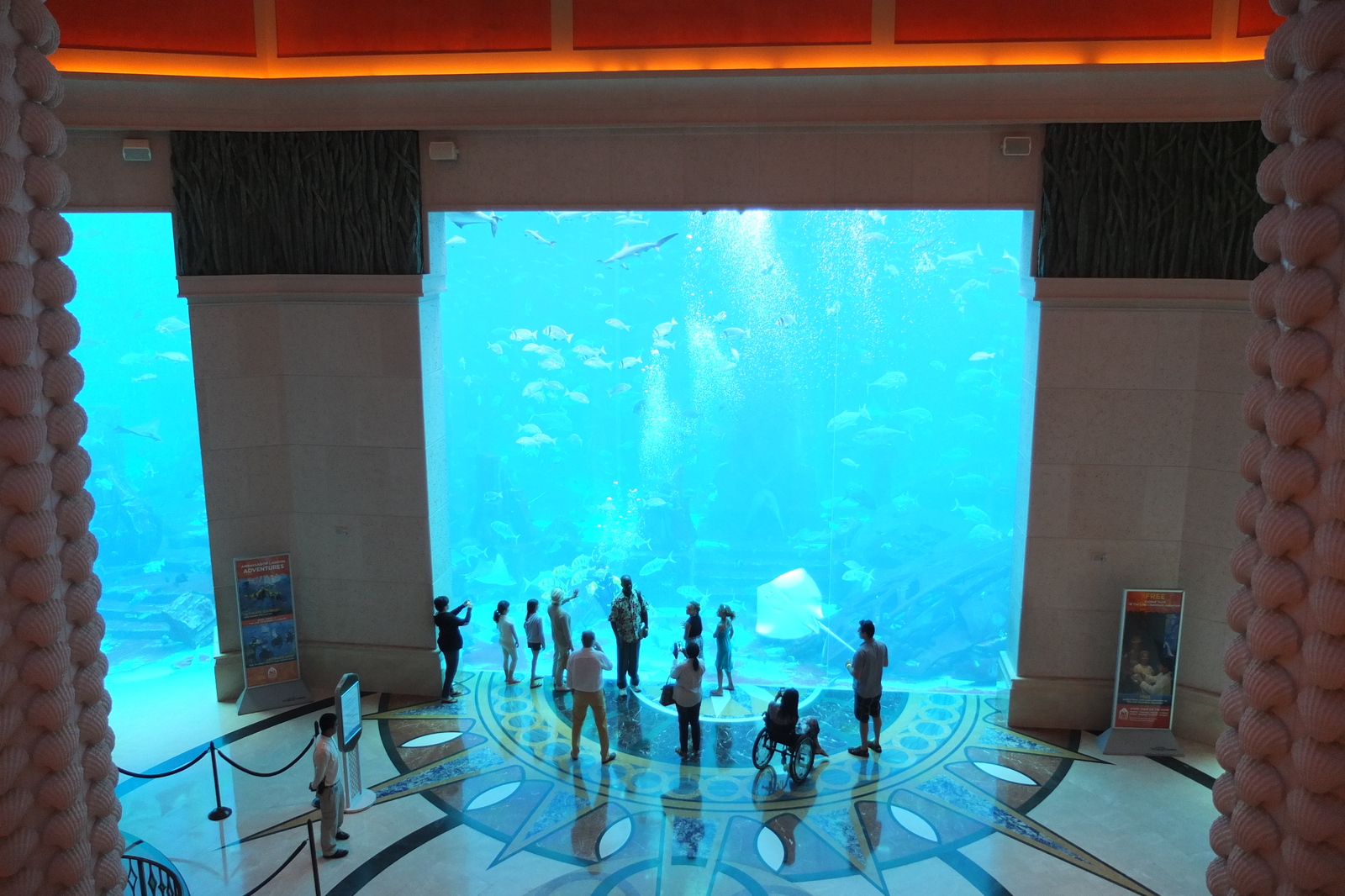 照片 阿联酋(United Arab Emirates) 迪拜(Dubai) 亚特兰蒂斯酒店(Atlantis Hotel) 2014-02 215