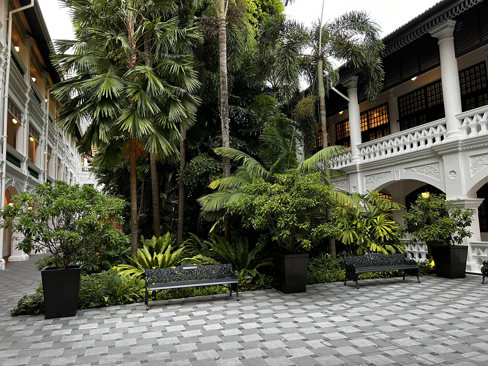 照片 新加坡(Singapore) 新加坡莱佛士酒店(Raffles Hotel Singapore) 2023-01 16