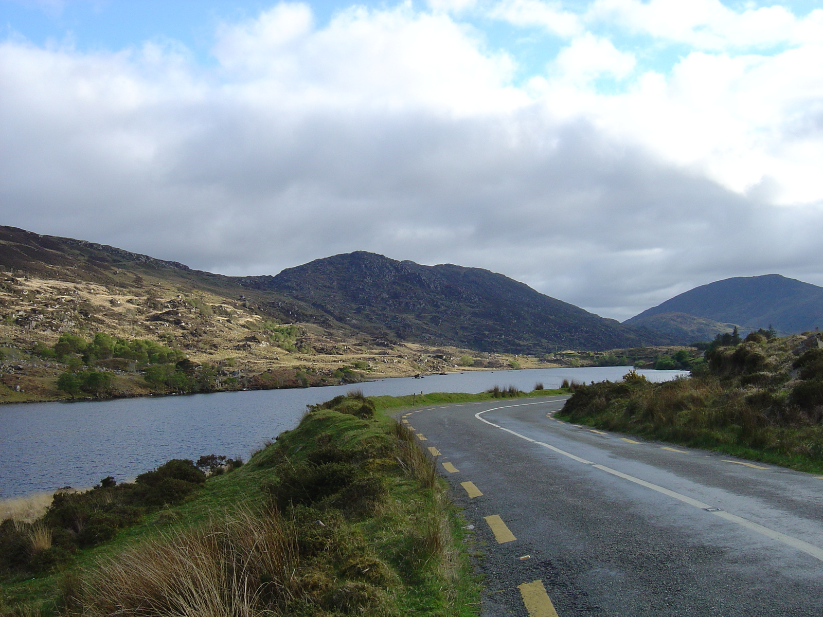 照片 爱尔兰(Ireland) 凯里郡(Kerry) 基拉尼国家公园(Killarney National Park) 2004-05 7