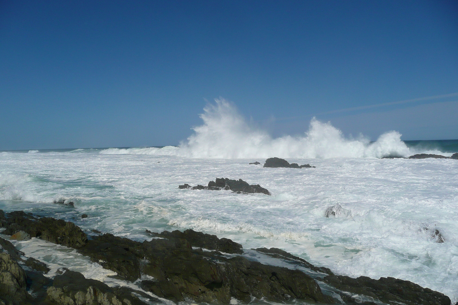 照片 南非(South Africa) 齐齐卡马国家公园(Tsitsikamma National Park) 2008-09 454