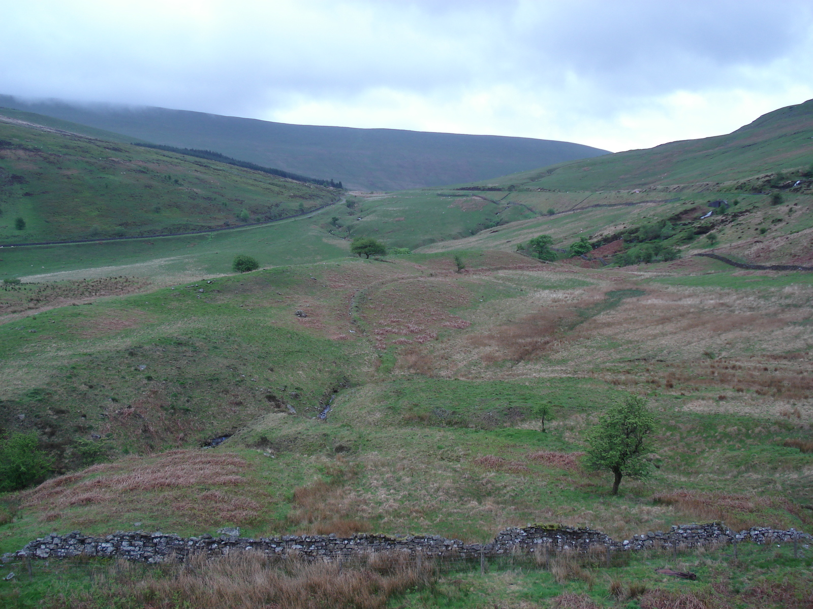 照片 英国(United Kingdom) 布雷肯比肯斯国家公园(Brecon Beacons National Park) 2006-05 1