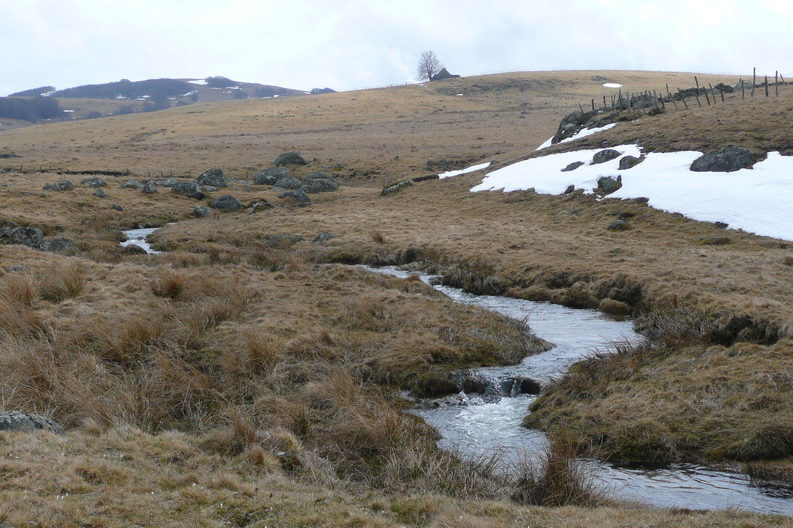照片 法国(France) 奥布拉克(L'Aubrac) 2008-04 107