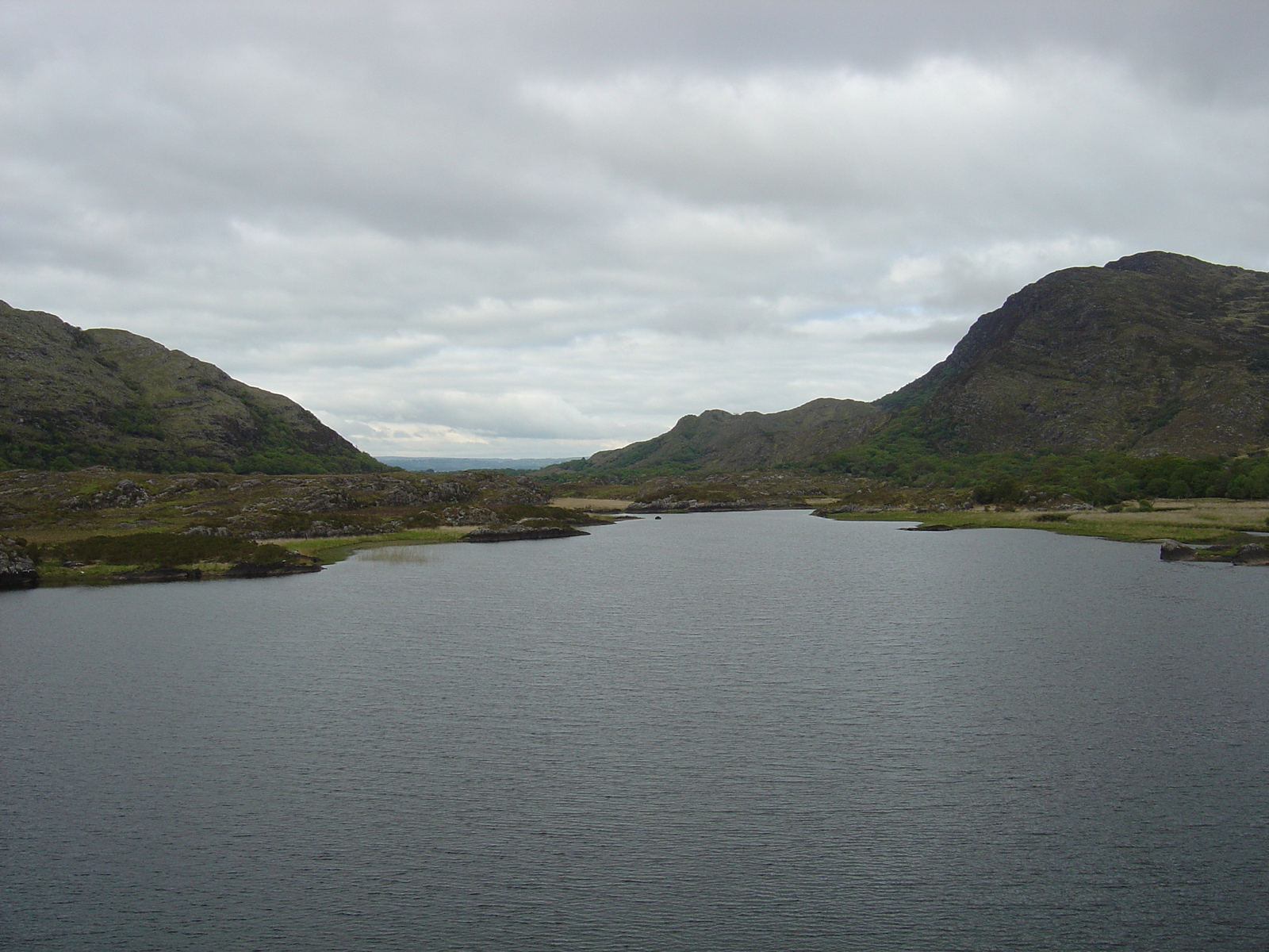 照片 爱尔兰(Ireland) 凯里郡(Kerry) 基拉尼国家公园(Killarney National Park) 2004-05 39