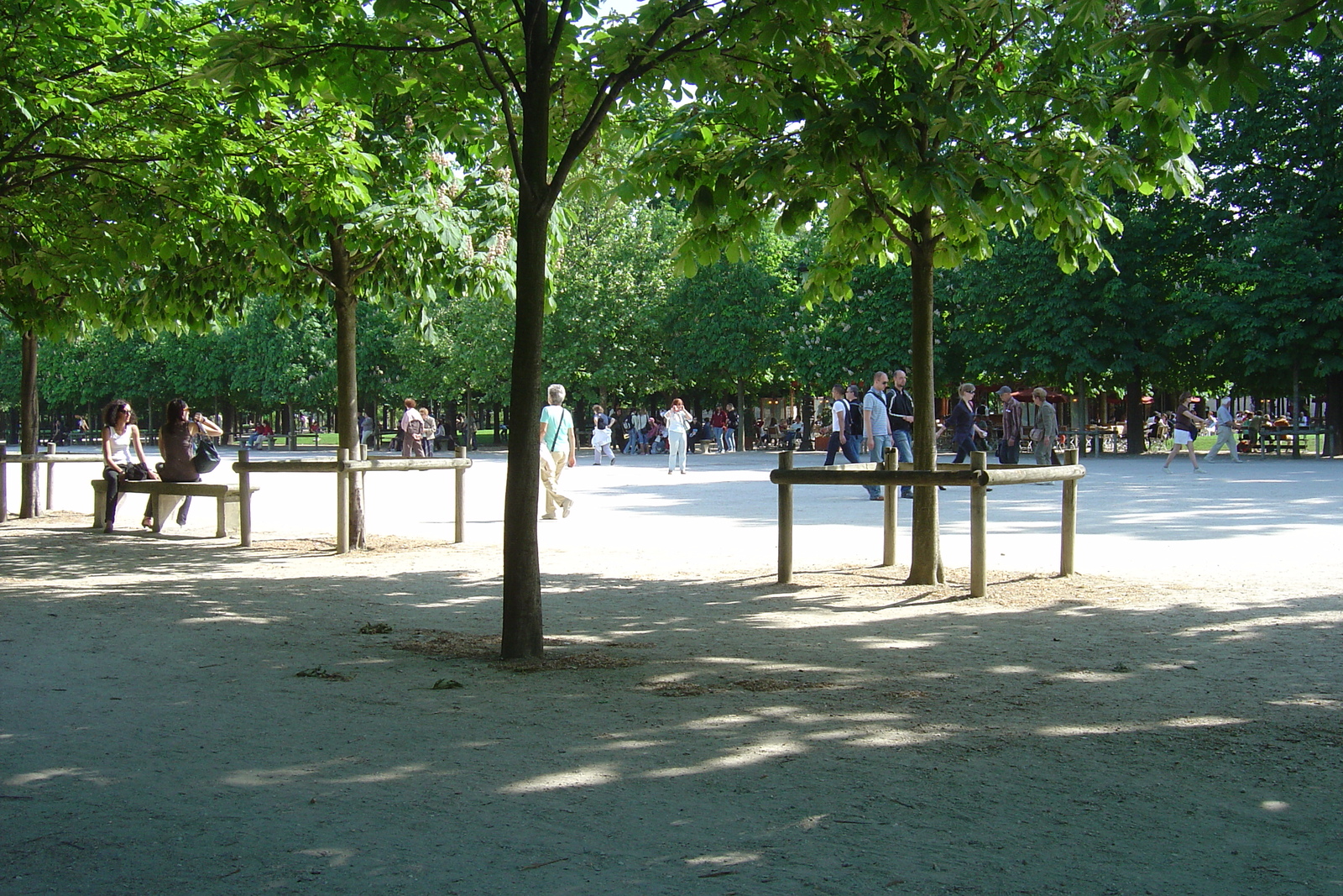 照片 法国(France) 巴黎(Paris) 杜乐丽花园(Garden of Tuileries) 2007-05 327