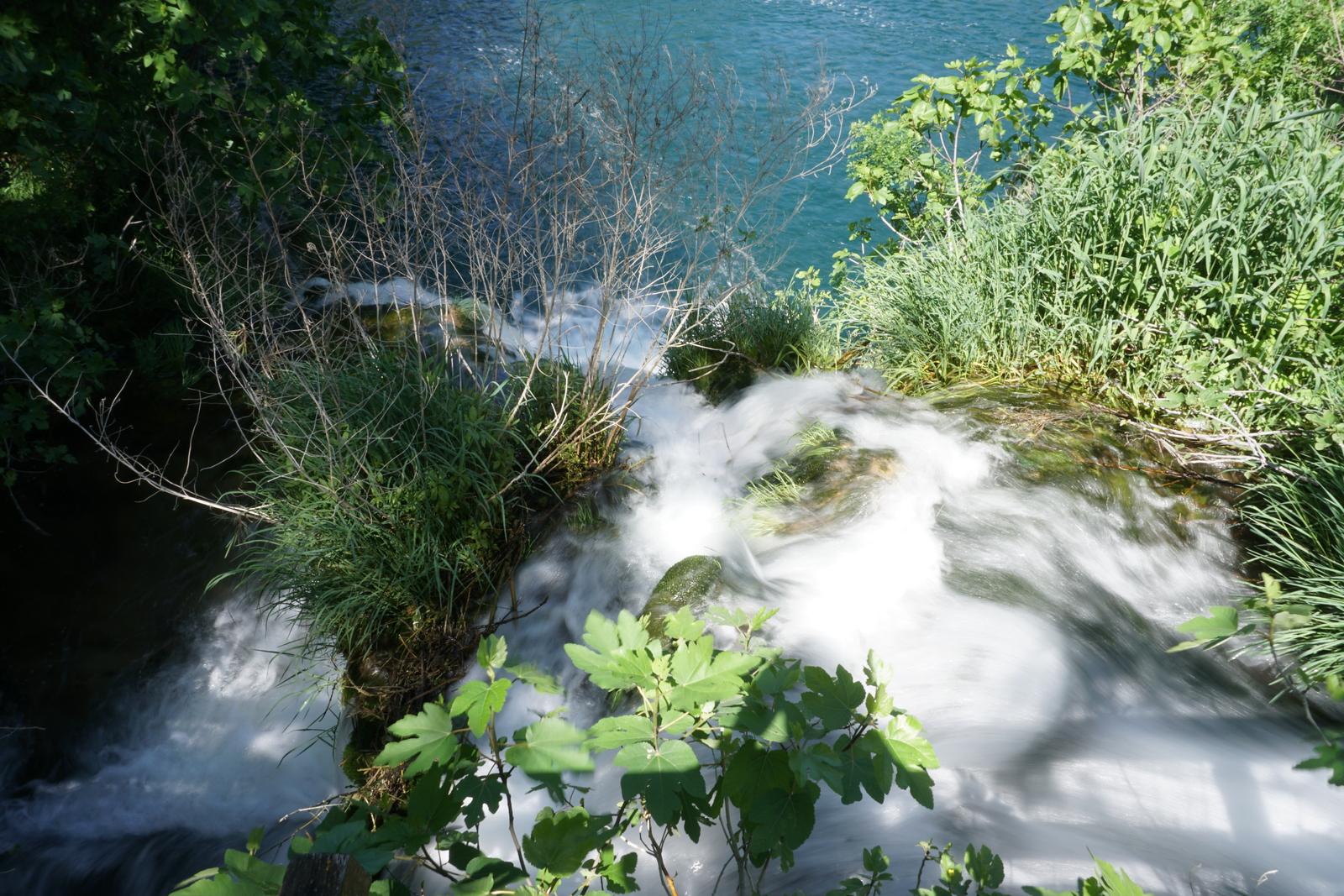 照片 克罗地亚(Croatia) 克尔卡国家公园(Krka National Park) 2016-04 101