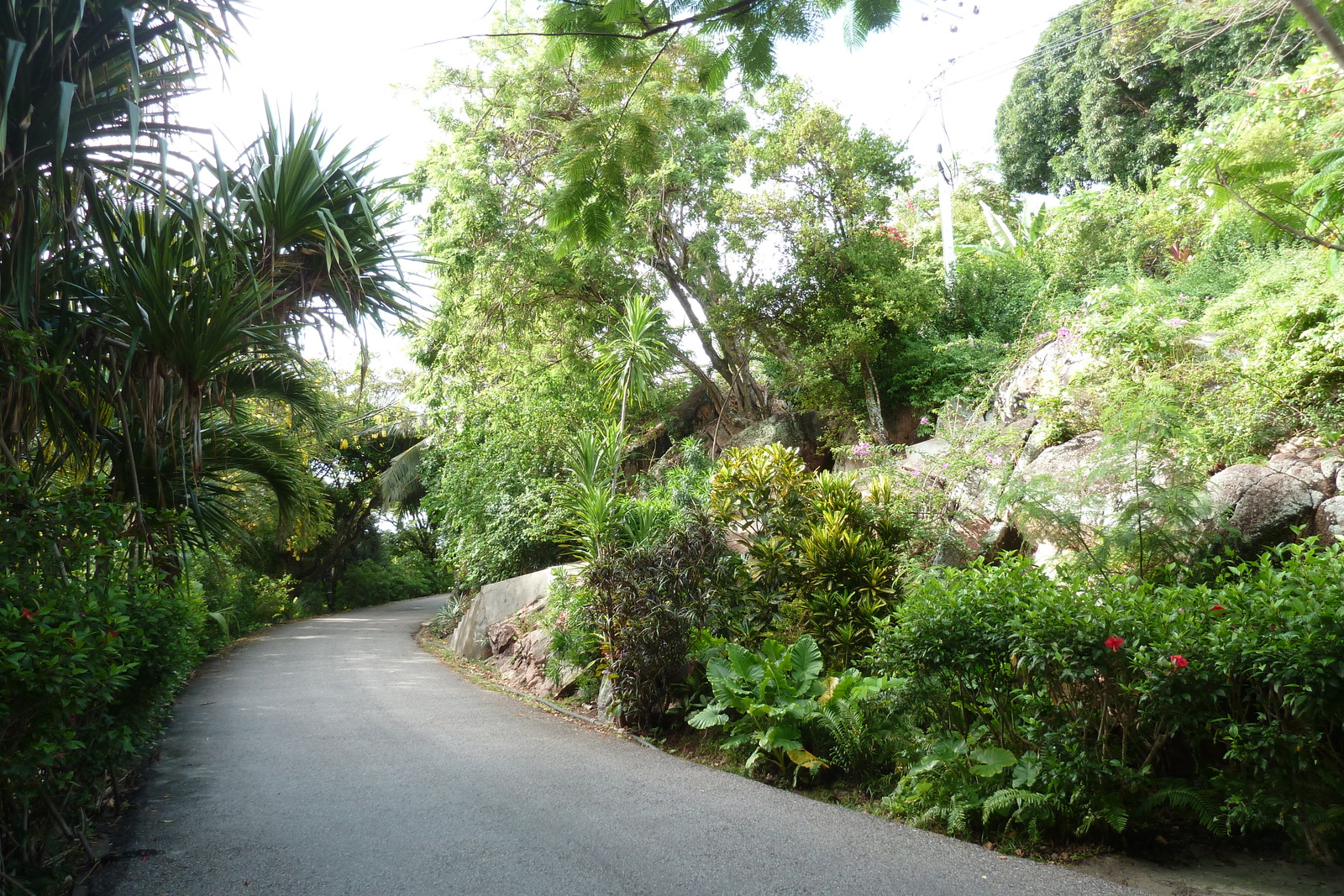 照片 塞舌尔(Seychelles) 普拉兰岛(Praslin) 2011-10 176