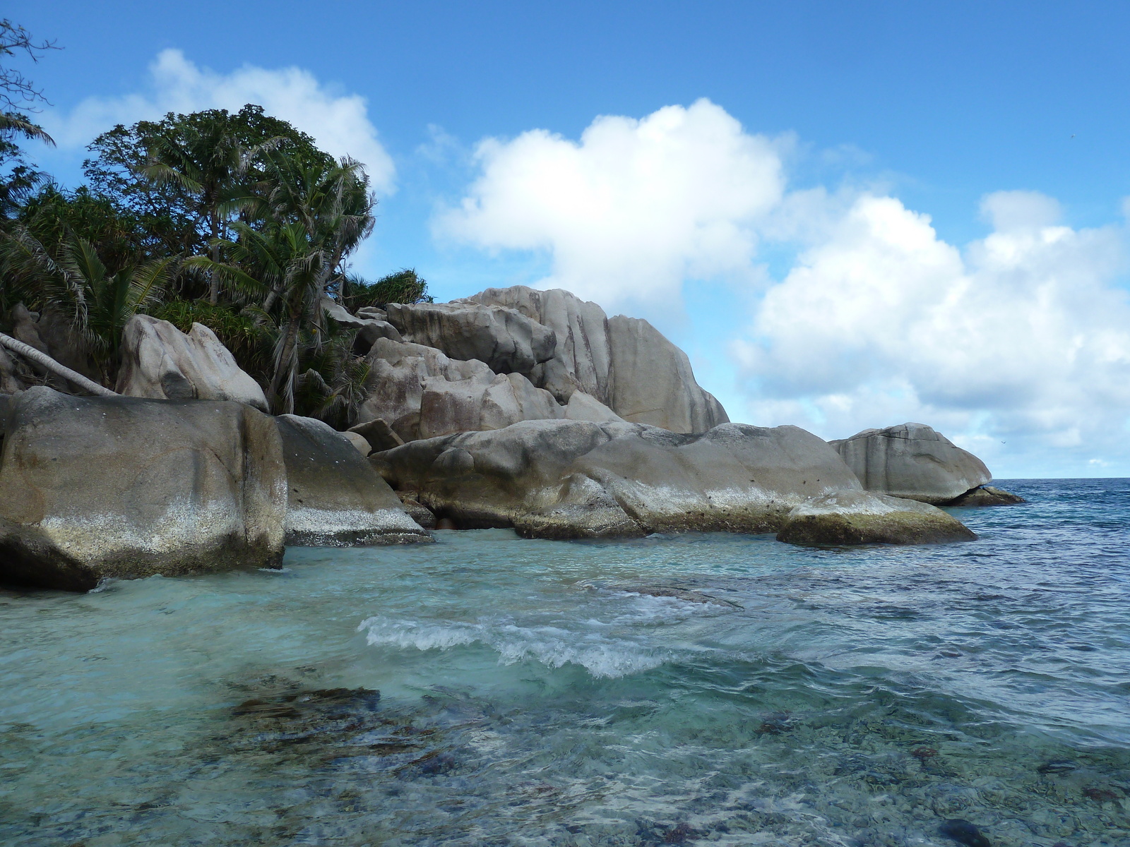 照片 塞舌尔(Seychelles) 椰子岛(Coco Island) 2011-10 59
