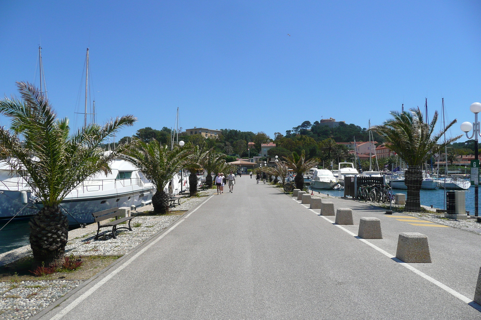 照片 法国(France) 波克罗勒岛(Porquerolles Island) 波克罗勒港(Porquerolles harbour) 2008-05 5