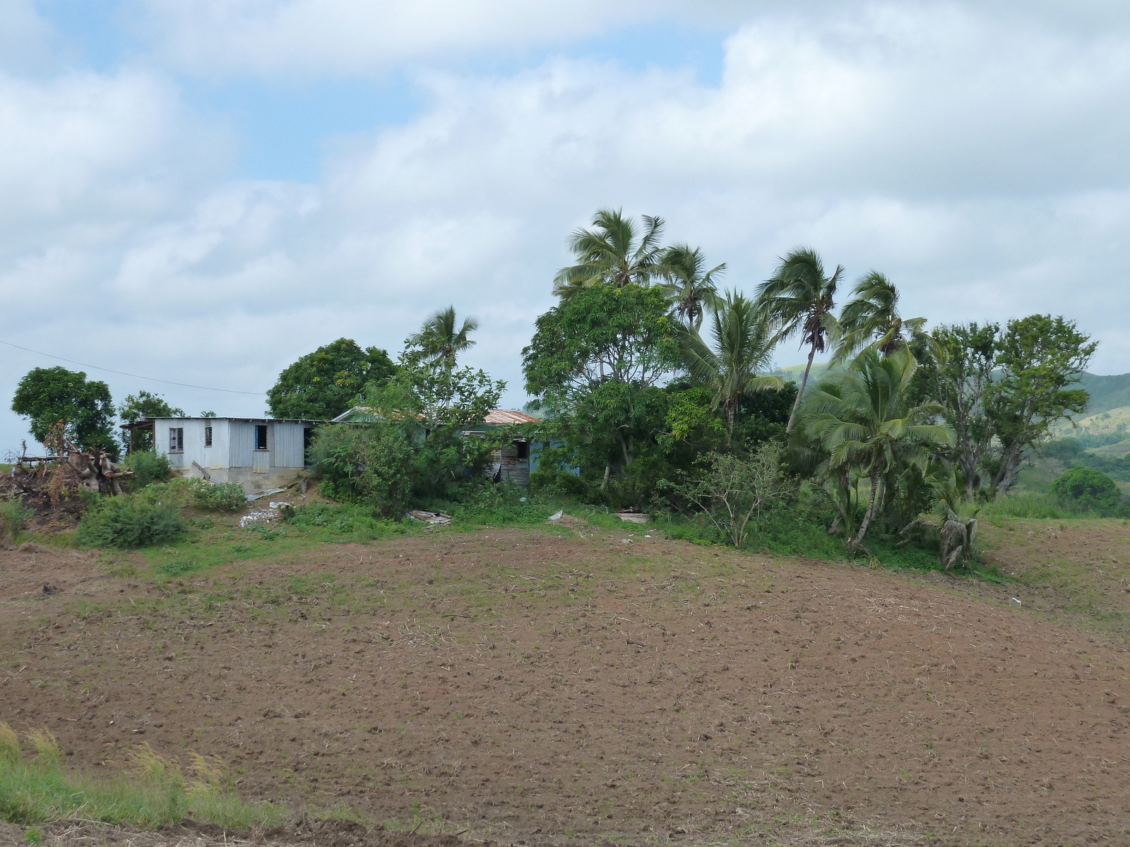 照片 斐济(Fiji) 楠迪至纳塔多拉公路(Nadi to Natadola road) 2010-05 13