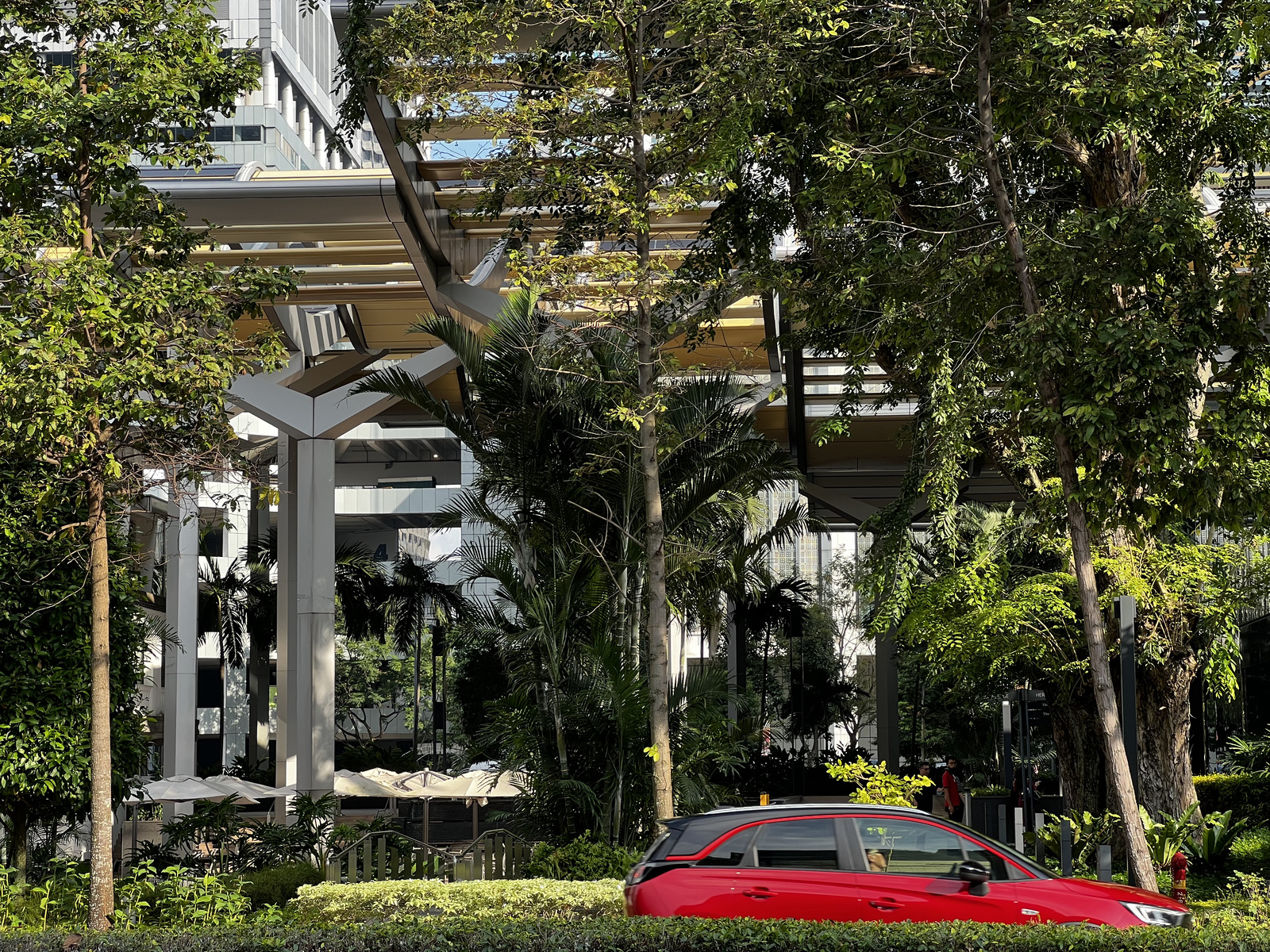 照片 新加坡(Singapore) 新加坡莱佛士酒店(Raffles Hotel Singapore) 2023-01 26