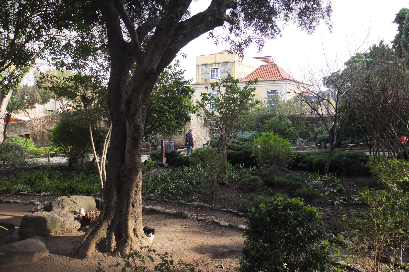 照片 葡萄牙(Portugal) 里斯本(Lisbon) 2013-01 365
