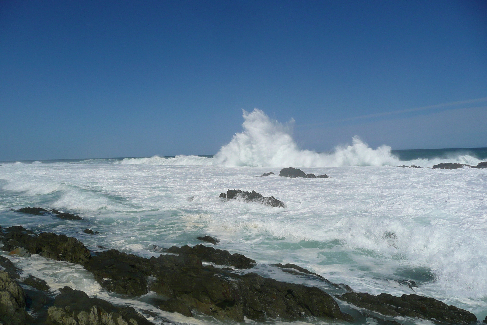 照片 南非(South Africa) 齐齐卡马国家公园(Tsitsikamma National Park) 2008-09 175