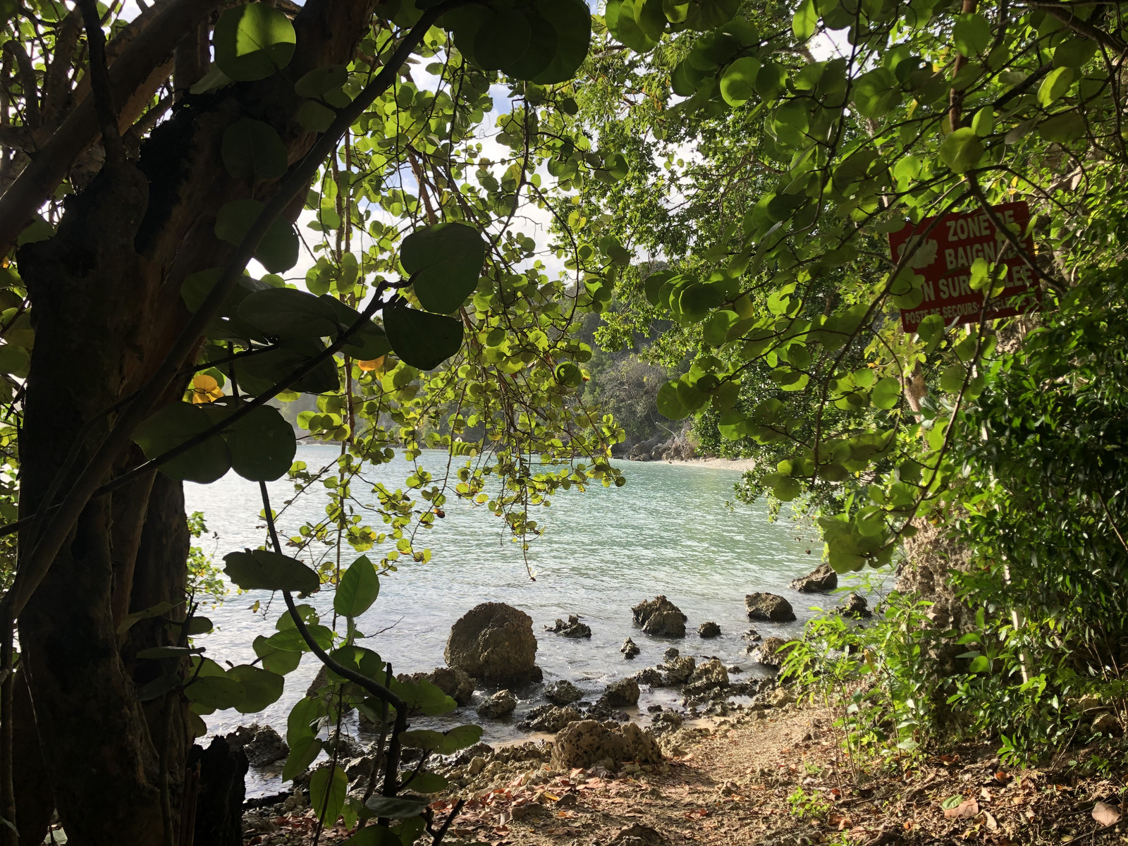 照片 瓜德罗普(Guadeloupe) 小阿弗尔海滩(Petit Havre Beach) 2021-02 14