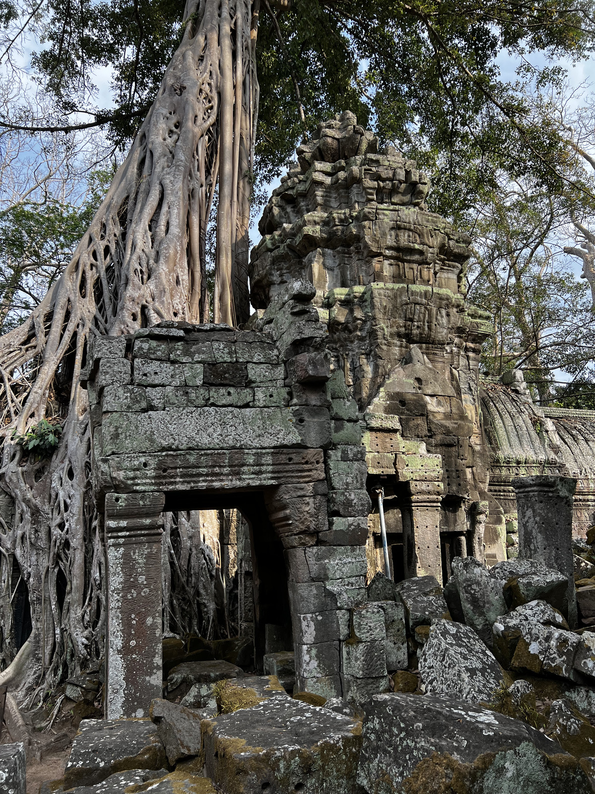 照片 柬埔寨(Cambodia) 暹粒(Siem Reap) 塔布茏寺(Ta Prohm) 2023-01 152