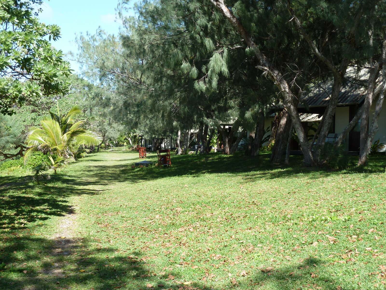 照片 新喀里多尼亚(New Caledonia) 利富岛(Lifou) 德雷胡村酒店(Drehu Village Hotel) 2010-05 31