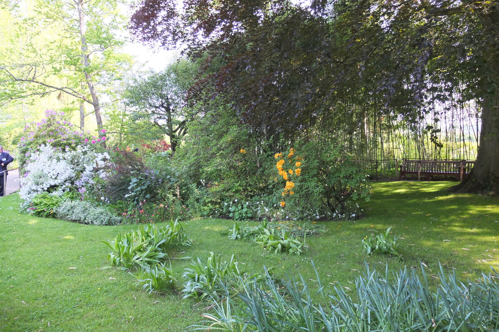 照片 法国(France) 吉维尼(Giverny) 2013-06 67