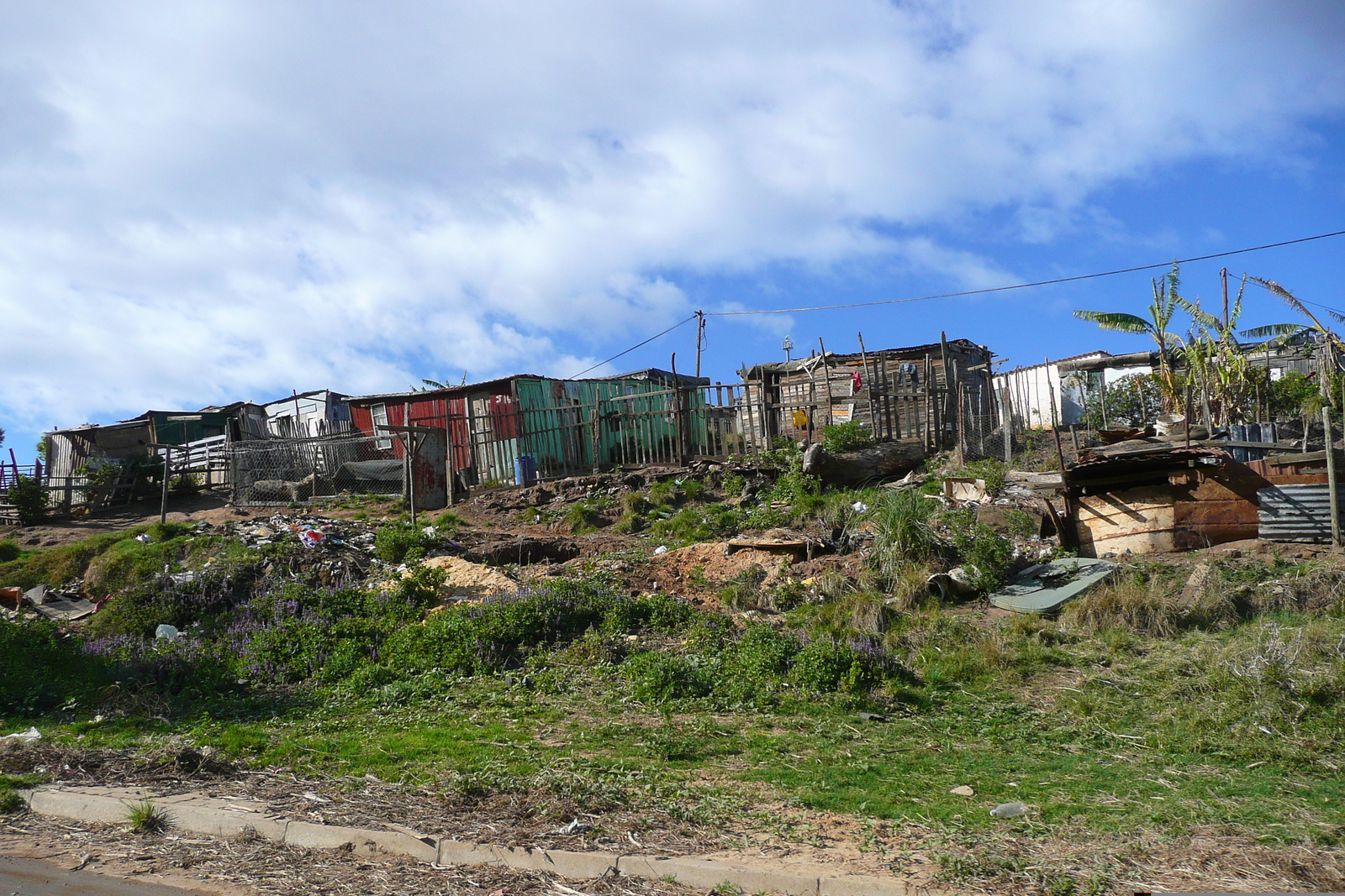 照片 南非(South Africa) 克尼斯纳(Knysna) 2008-09 54