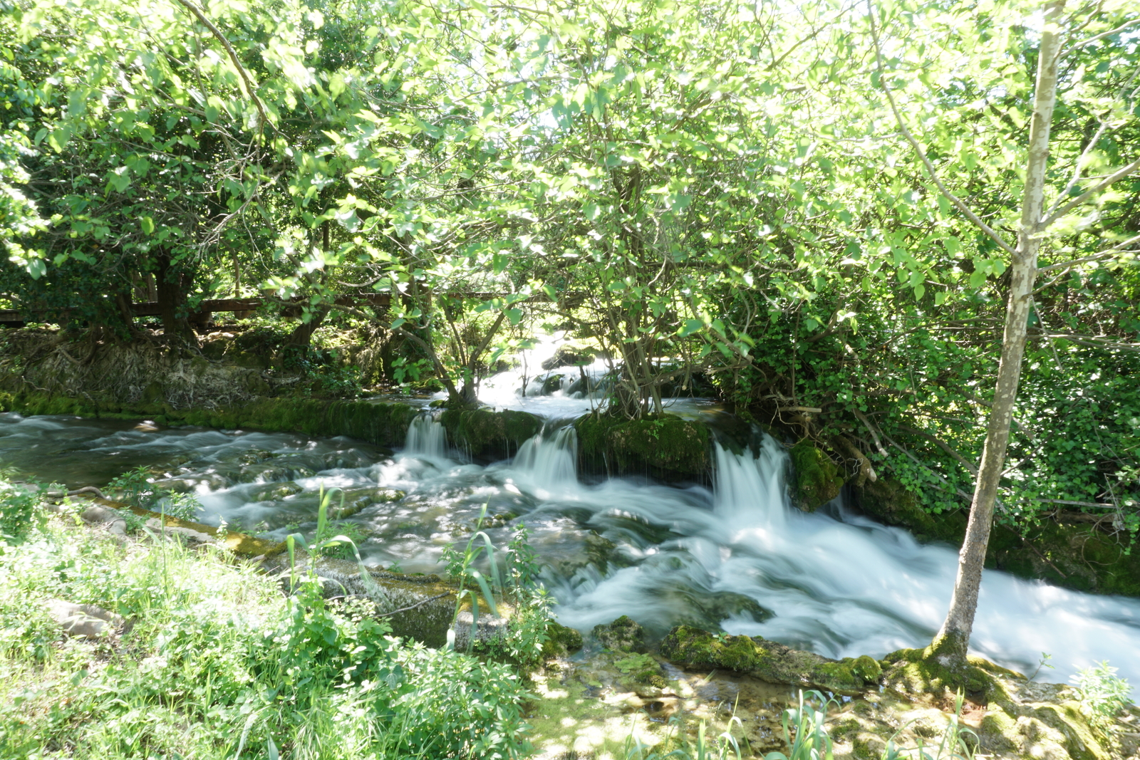 照片 克罗地亚(Croatia) 克尔卡国家公园(Krka National Park) 2016-04 47