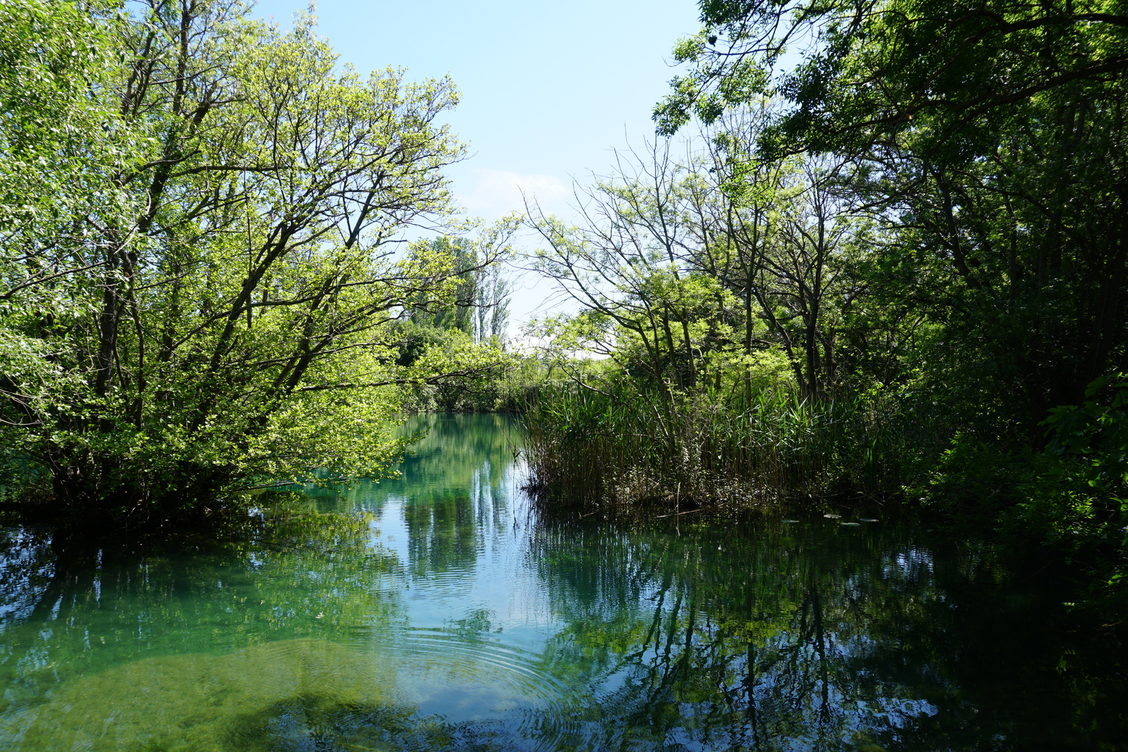 照片 克罗地亚(Croatia) 克尔卡国家公园(Krka National Park) 2016-04 44