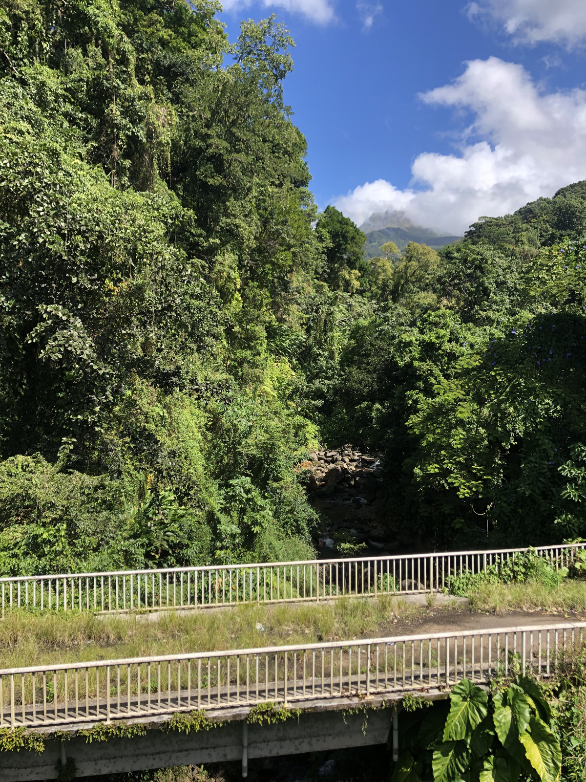 照片 瓜德罗普(Guadeloupe) 大苏弗里耶尔火山(La Grande Soufriere) 2021-02 61