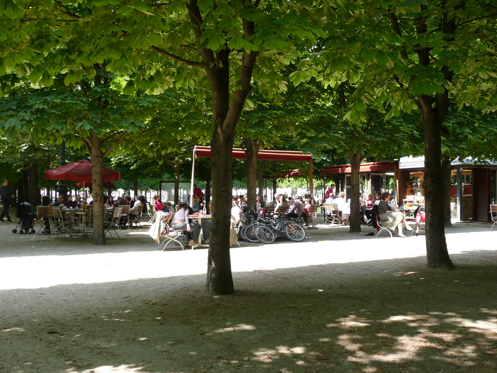 照片 法国(France) 巴黎(Paris) 杜乐丽花园(Garden of Tuileries) 2007-05 316