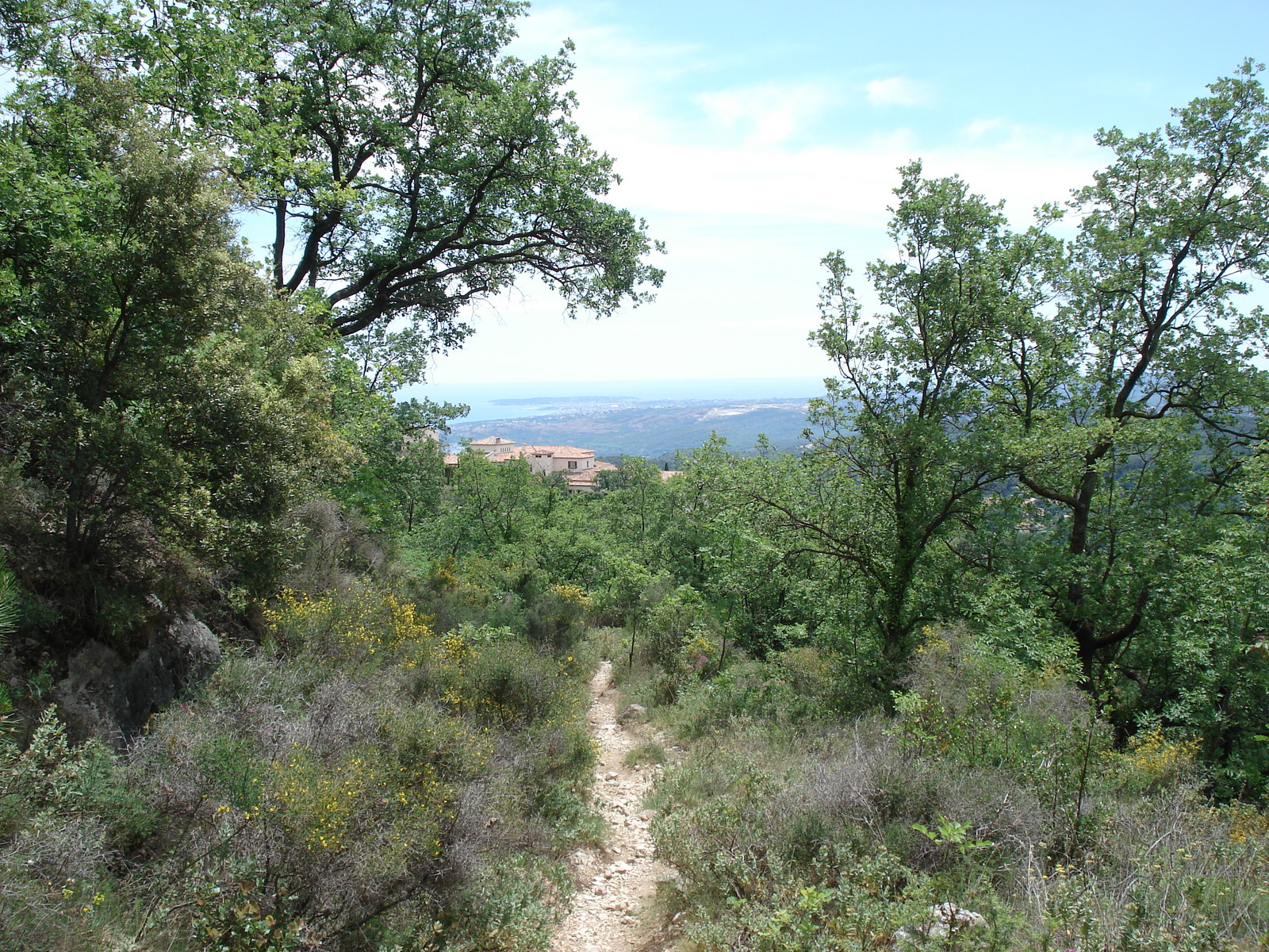 照片 法国(France) 旺斯(Vence) 巴乌山(Baou) 2006-06 90