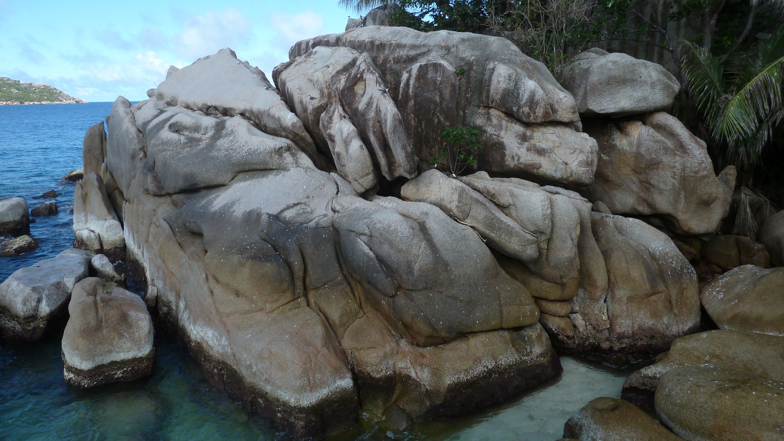 照片 塞舌尔(Seychelles) 椰子岛(Coco Island) 2011-10 79