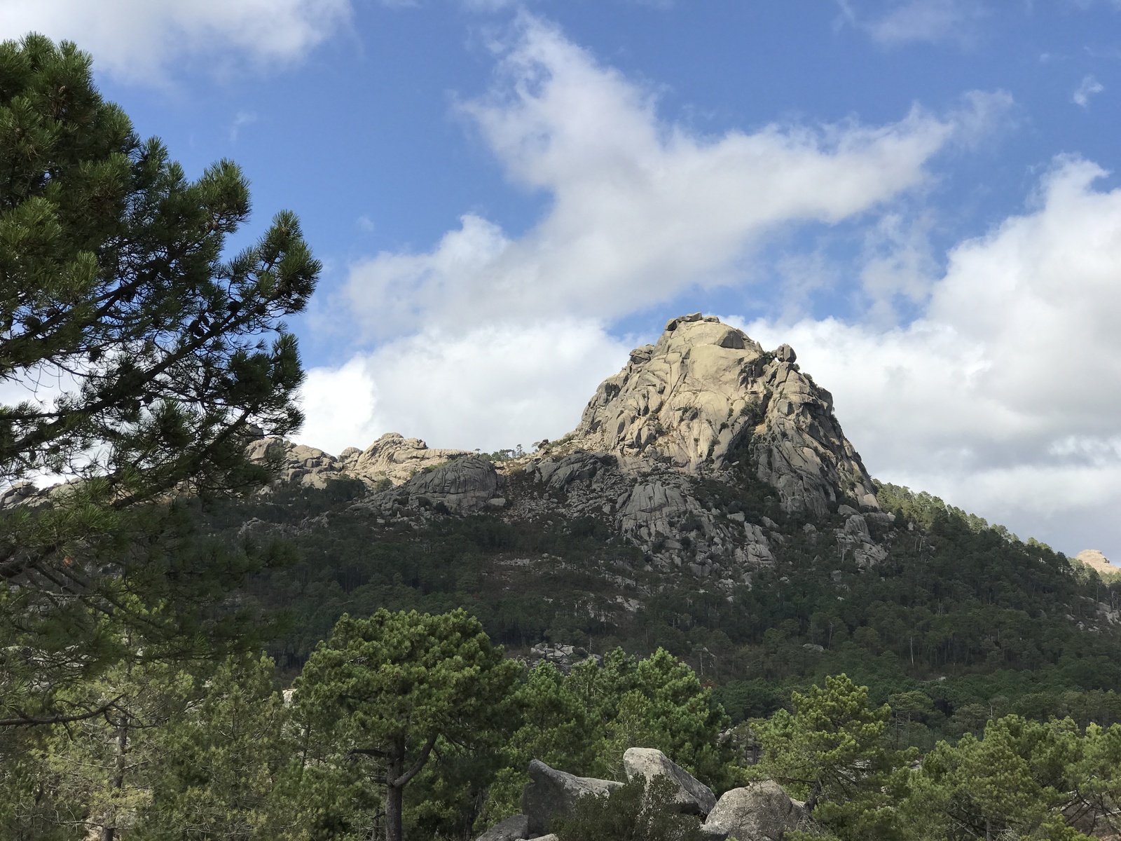 照片 法国(France) 科西嘉岛(Corsica) 奥斯佩达莱森林(L'ospedale Forest) 2017-09 0
