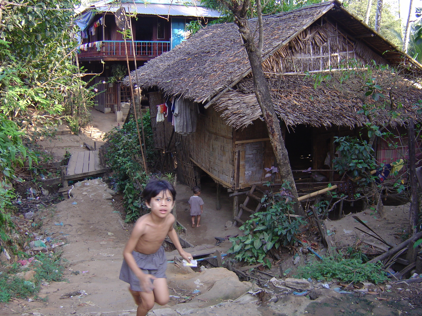 照片 缅甸(Myanmar) 丹老(Myeik (Mergui)) 2005-01 187