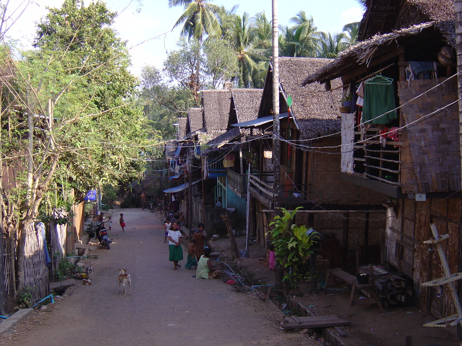 照片 缅甸(Myanmar) 丹老(Myeik (Mergui)) 2005-01 196