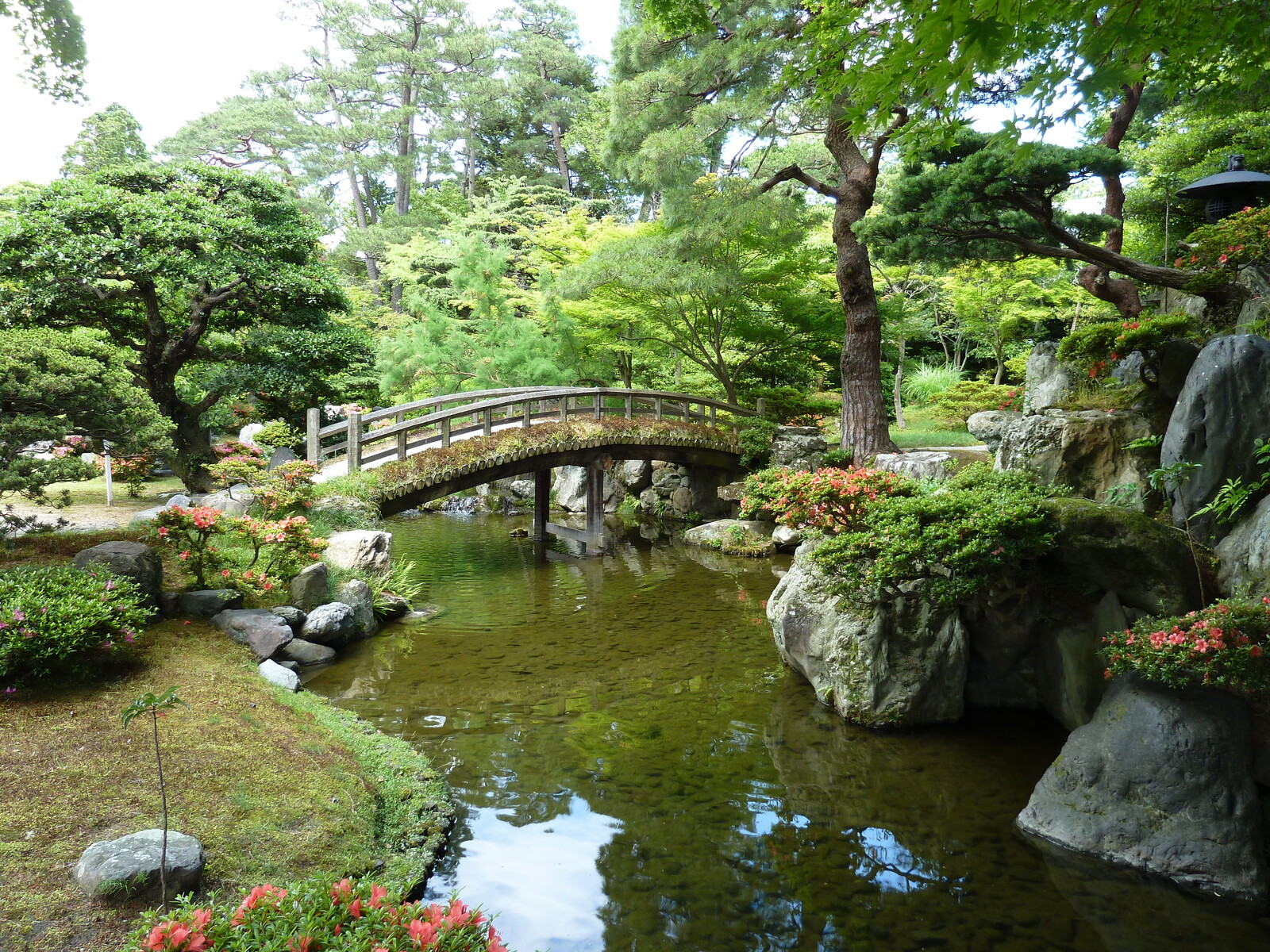 照片 日本(Japan) 2010-06 44