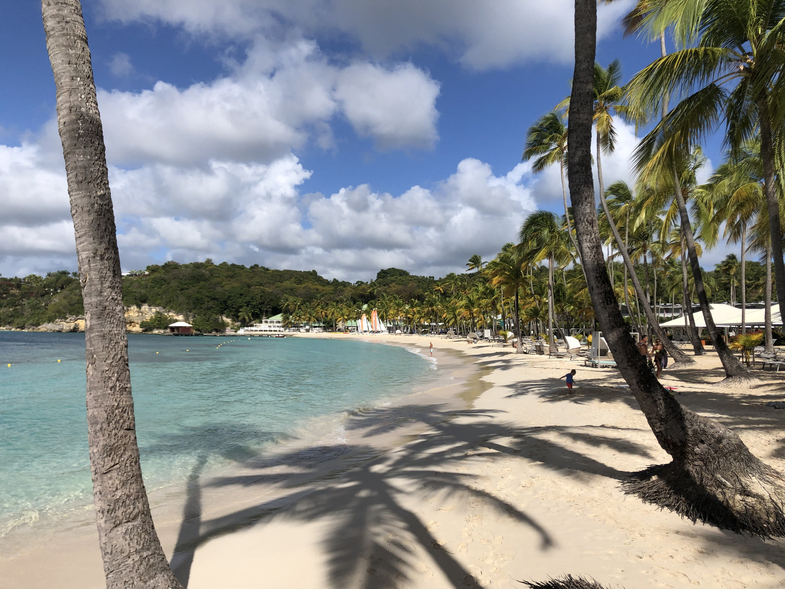 照片 瓜德罗普(Guadeloupe) 卡拉维尔海滩(La Caravelle Beach) 2021-02 5