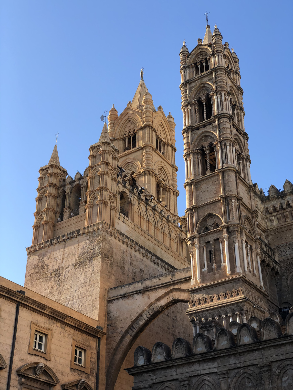 照片 意大利(Italy) 西西里岛(Sicily) 巴勒莫(Palermo) 2020-02 18