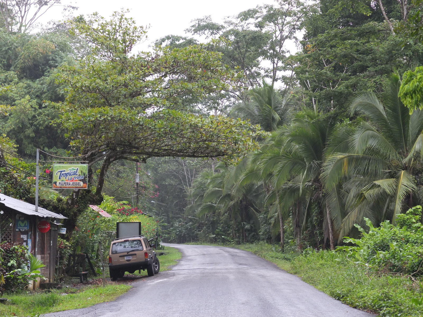 照片 哥斯达黎加(Costa Rica) 塔拉曼卡旧港(Puerto Viejo de Talamanca) 2015-03 118