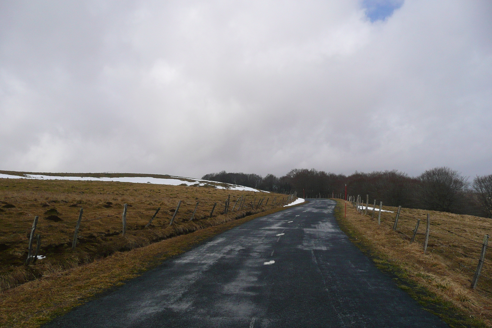 照片 法国(France) 奥布拉克(L'Aubrac) 2008-04 33