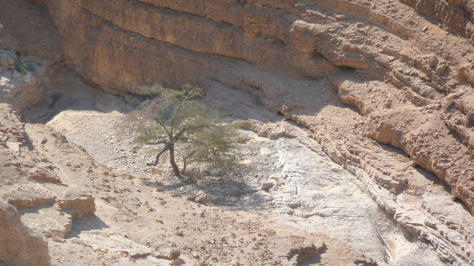 照片 以色列(Israel) 阿拉德至死海公路(Arad to Dead Sea road) 2007-06 105