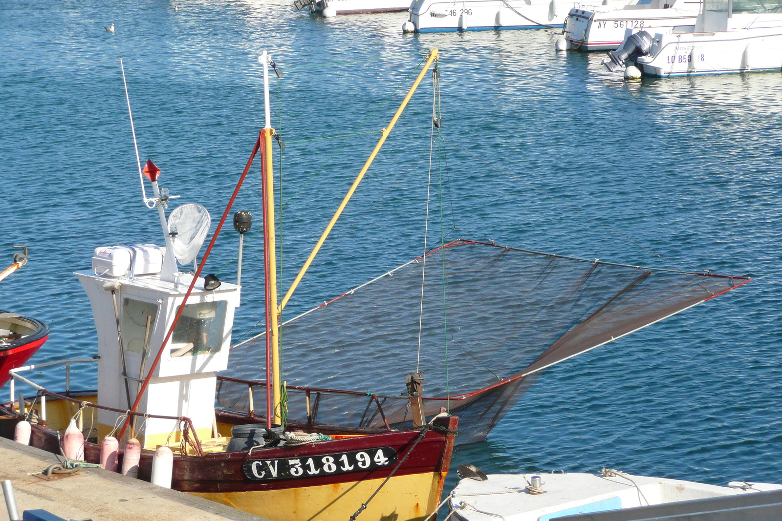 照片 法国(France) 基伯龙半岛(Quiberon peninsula) 基伯龙(Quiberon) 2008-07 100