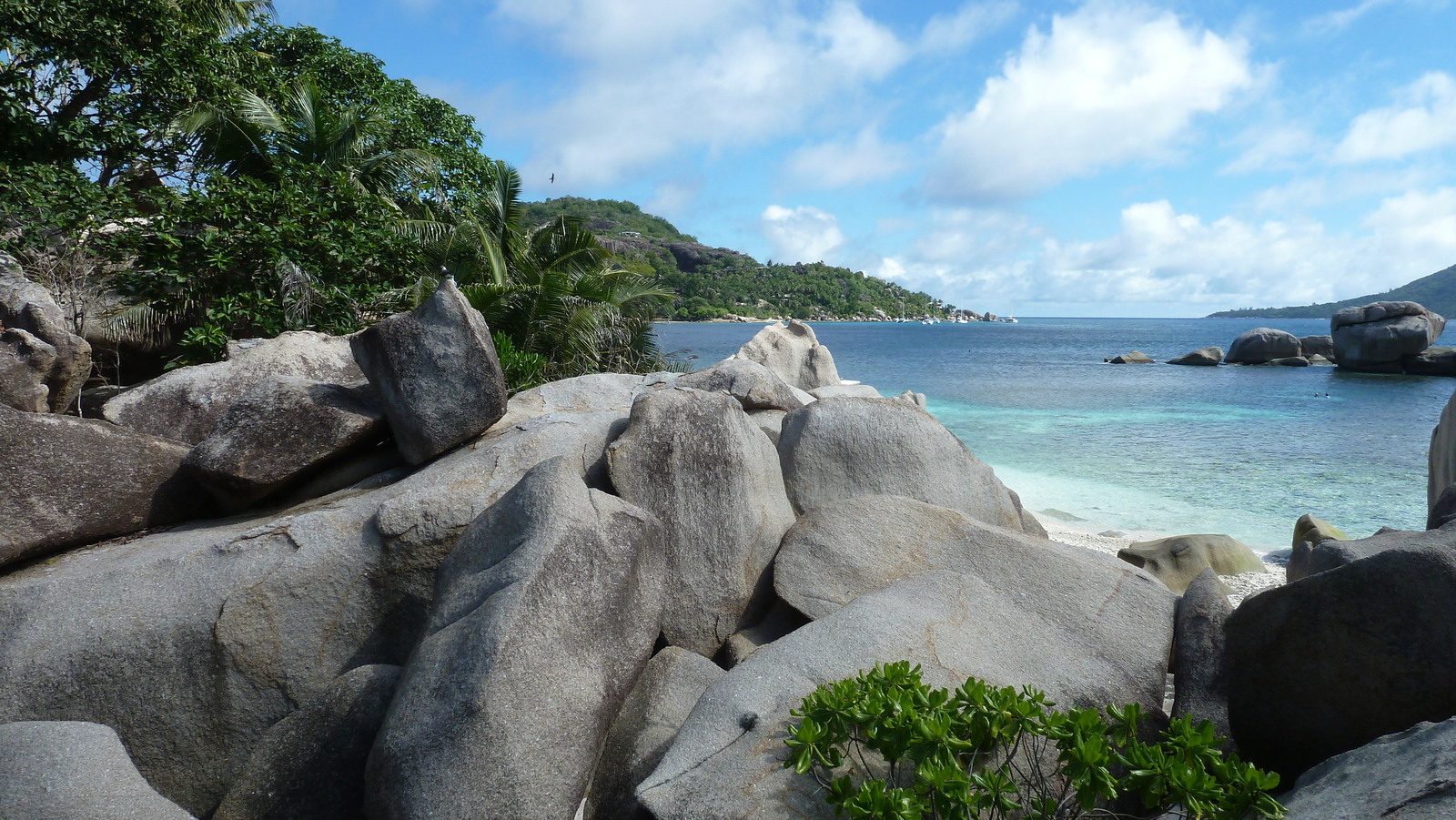 照片 塞舌尔(Seychelles) 椰子岛(Coco Island) 2011-10 9