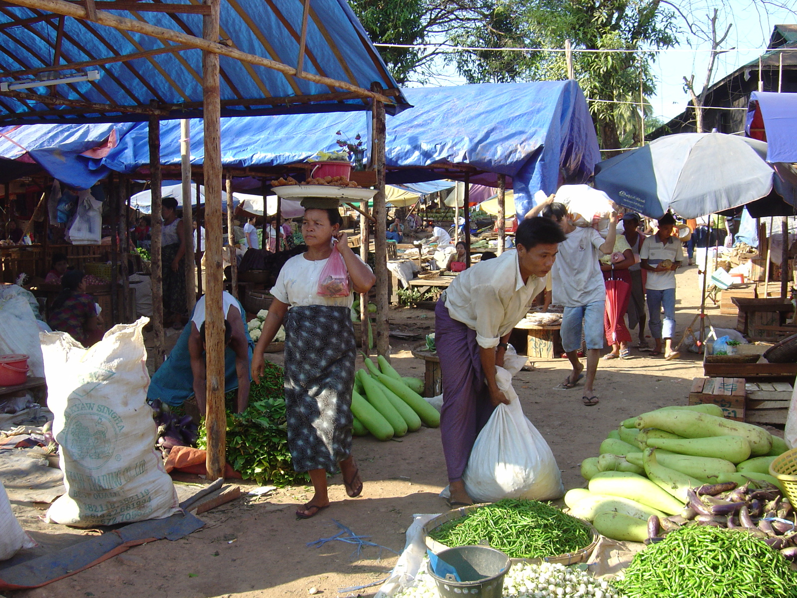 照片 缅甸(Myanmar) 丹老(Myeik (Mergui)) 2005-01 149