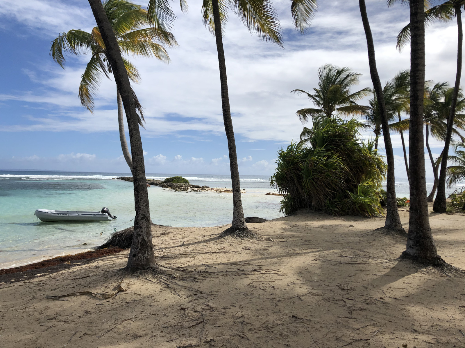 照片 瓜德罗普(Guadeloupe) 卡拉维尔海滩(La Caravelle Beach) 2021-02 134
