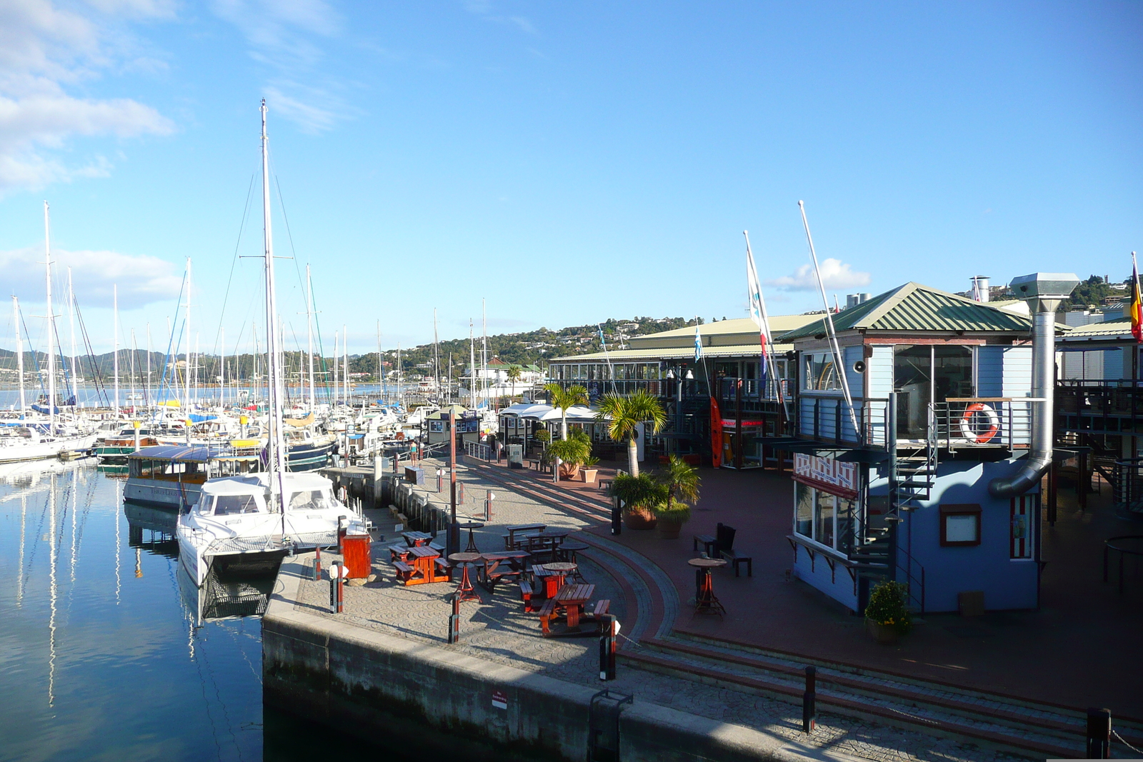 照片 南非(South Africa) 克尼斯纳(Knysna) 2008-09 57