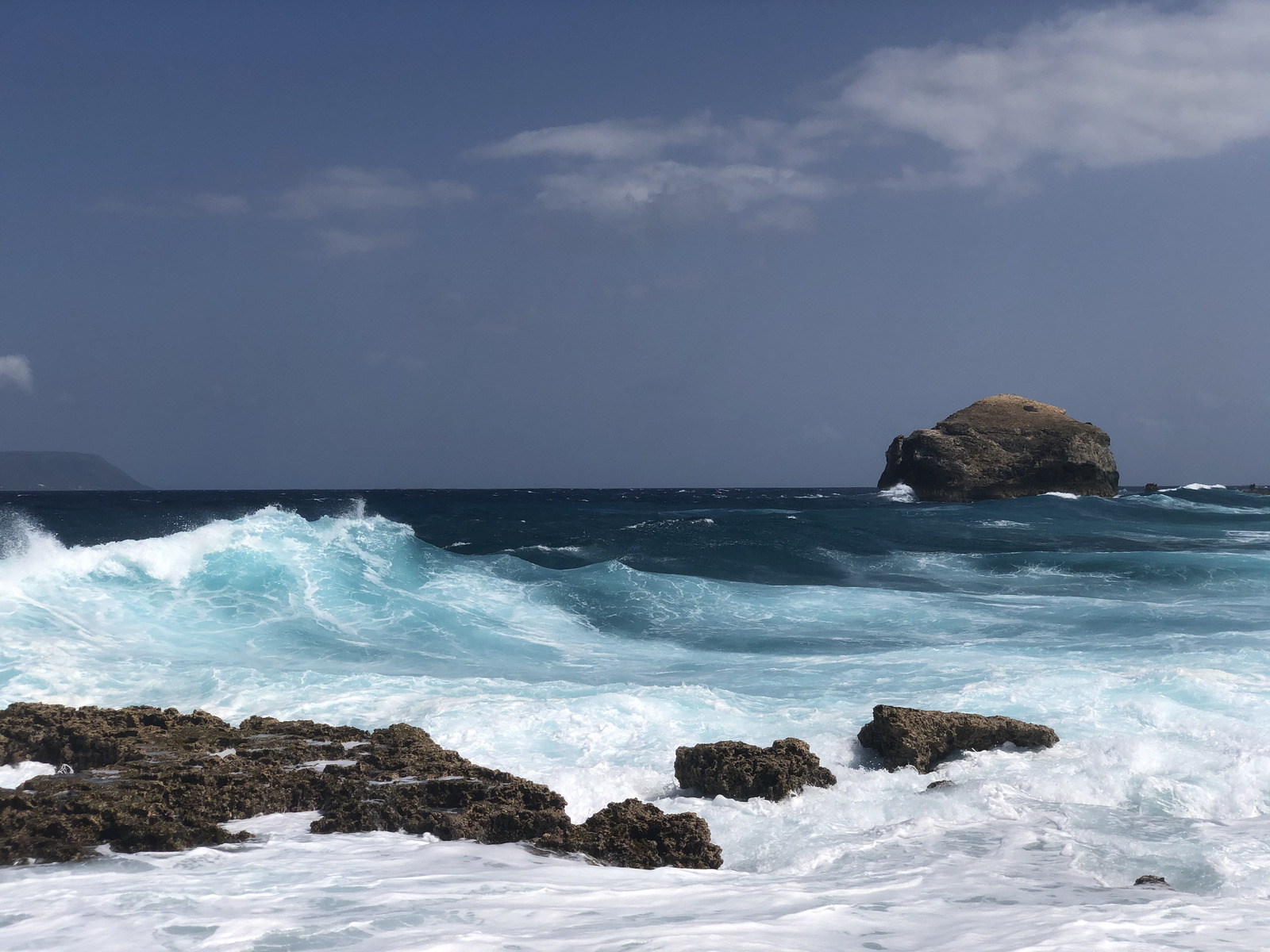 照片 瓜德罗普(Guadeloupe) 城堡角(Castle Point) 2021-02 36