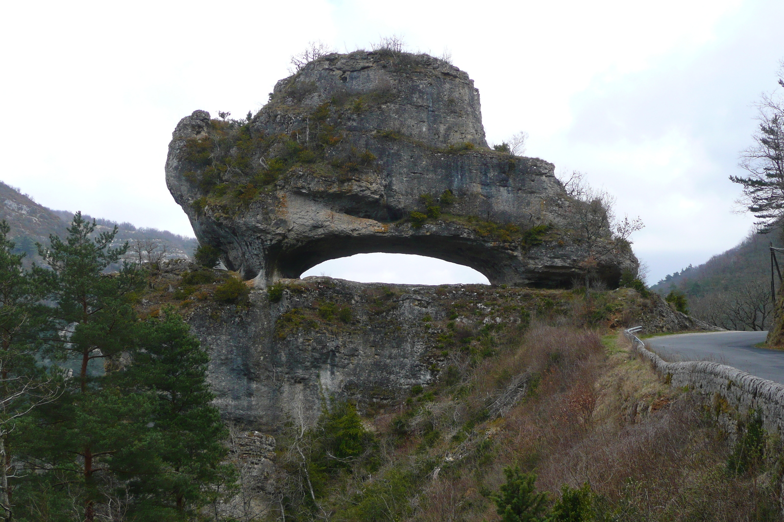 照片 法国(France) 奥布拉克(L'Aubrac) 2008-04 13