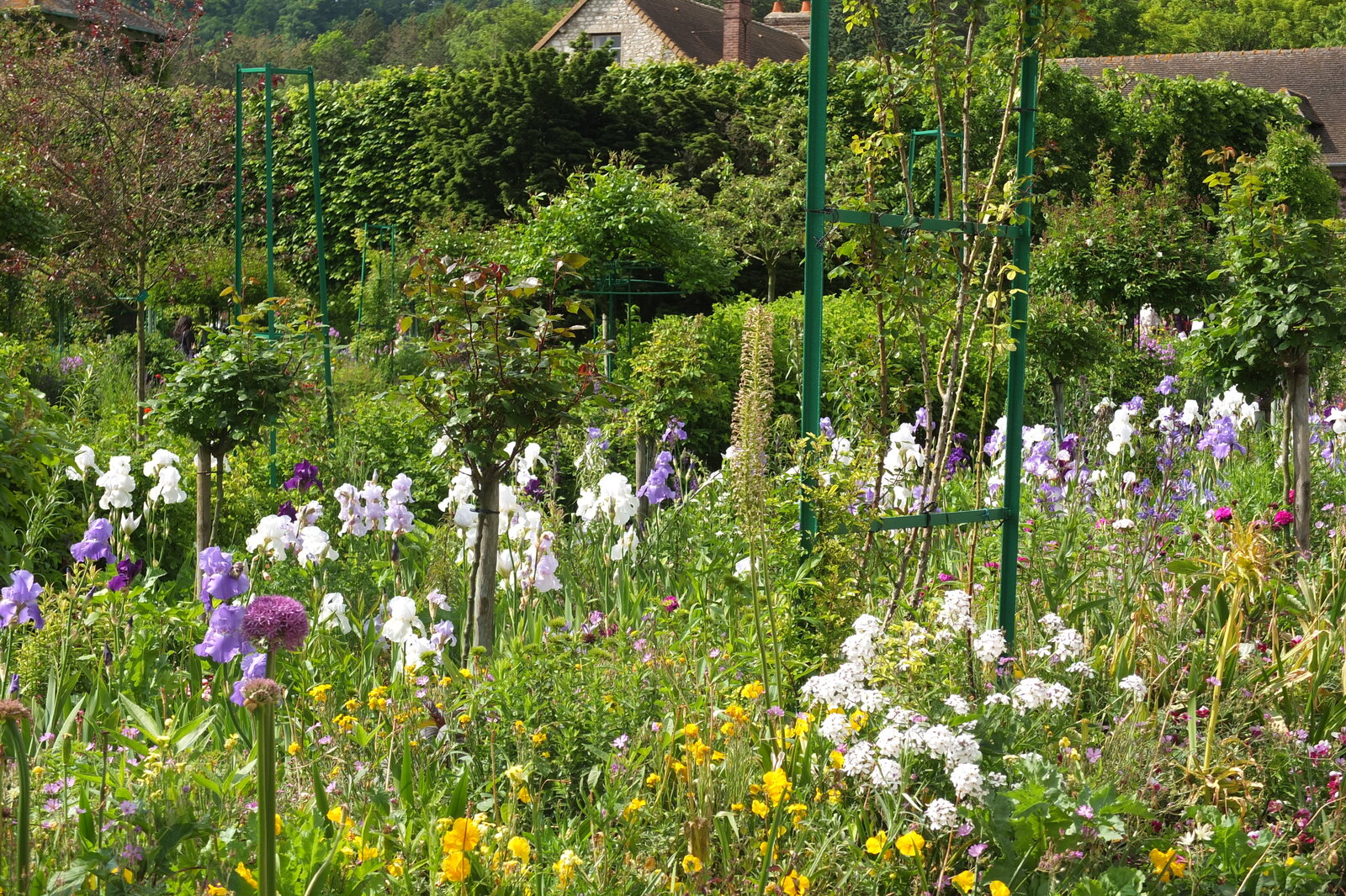 照片 法国(France) 吉维尼(Giverny) 2013-06 161