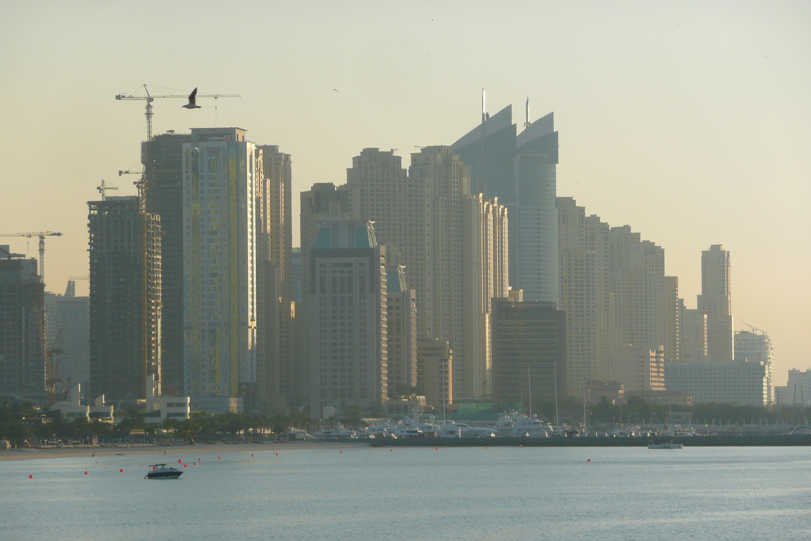 照片 阿联酋(United Arab Emirates) 迪拜(Dubai) 朱美拉棕榈岛(Palm Jumeirah) 2009-01 3