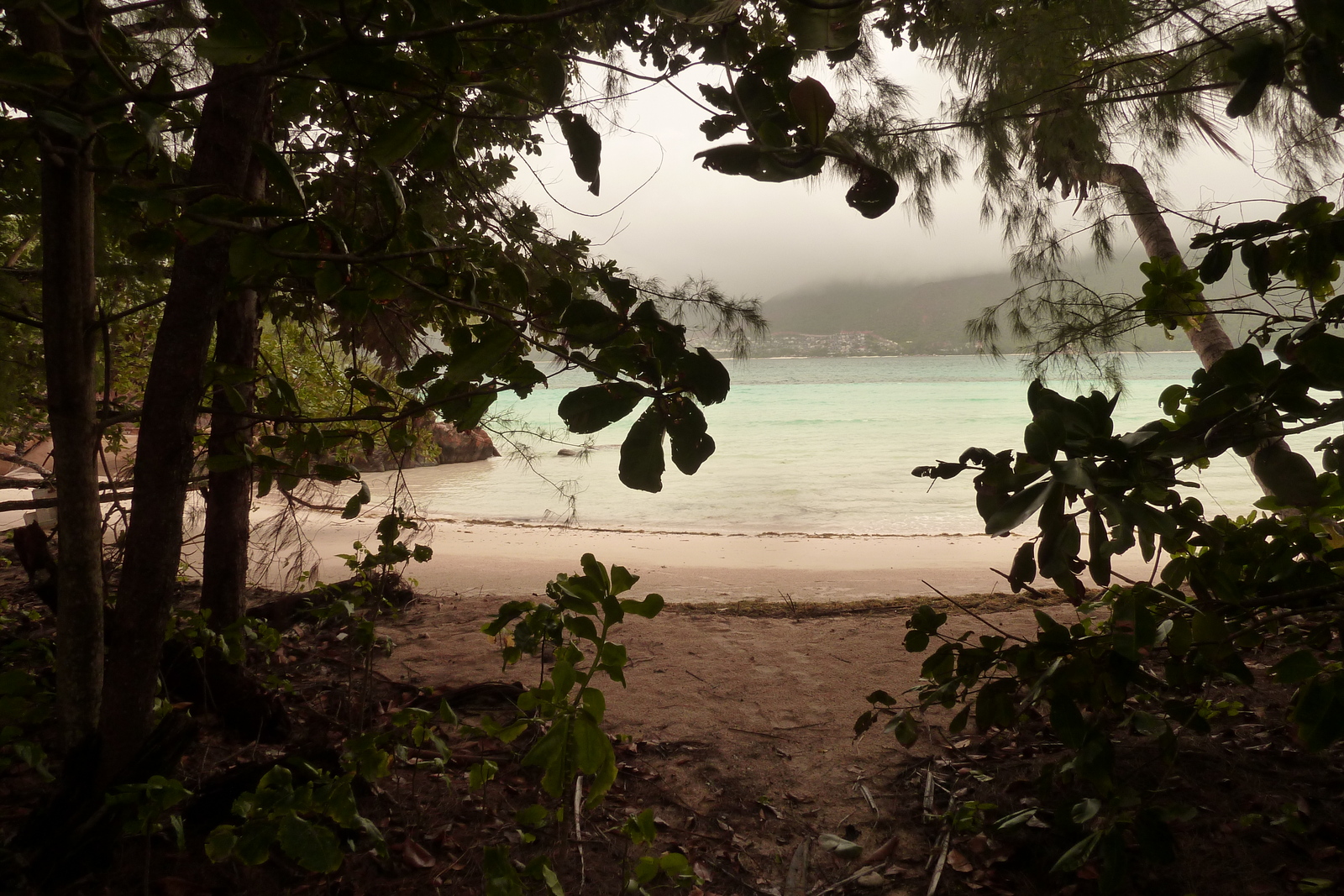 照片 塞舌尔(Seychelles) 居里厄斯岛(Curieuse) 2011-10 0