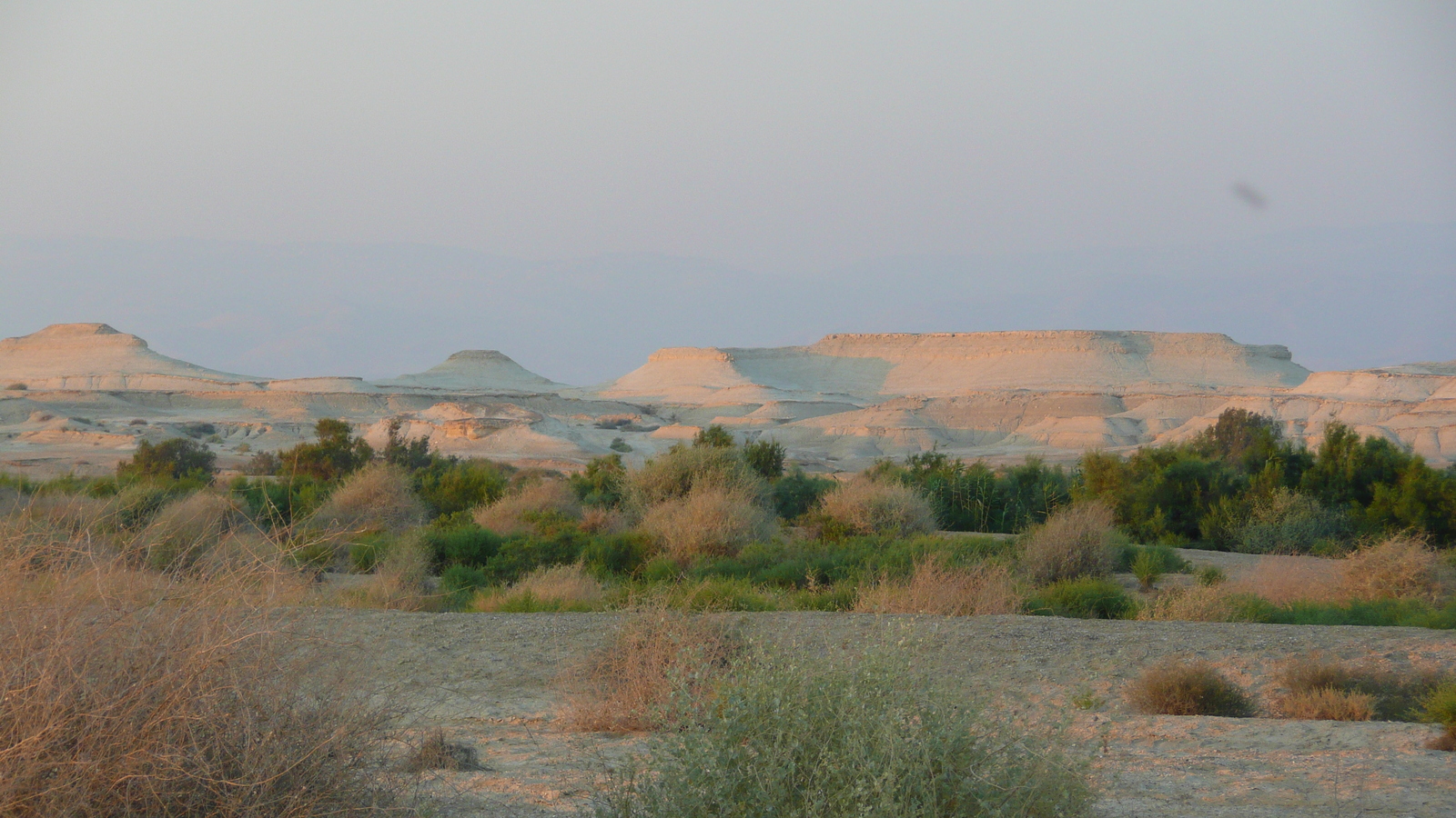 照片 以色列(Israel) 死海(Dead Sea) 2007-06 130